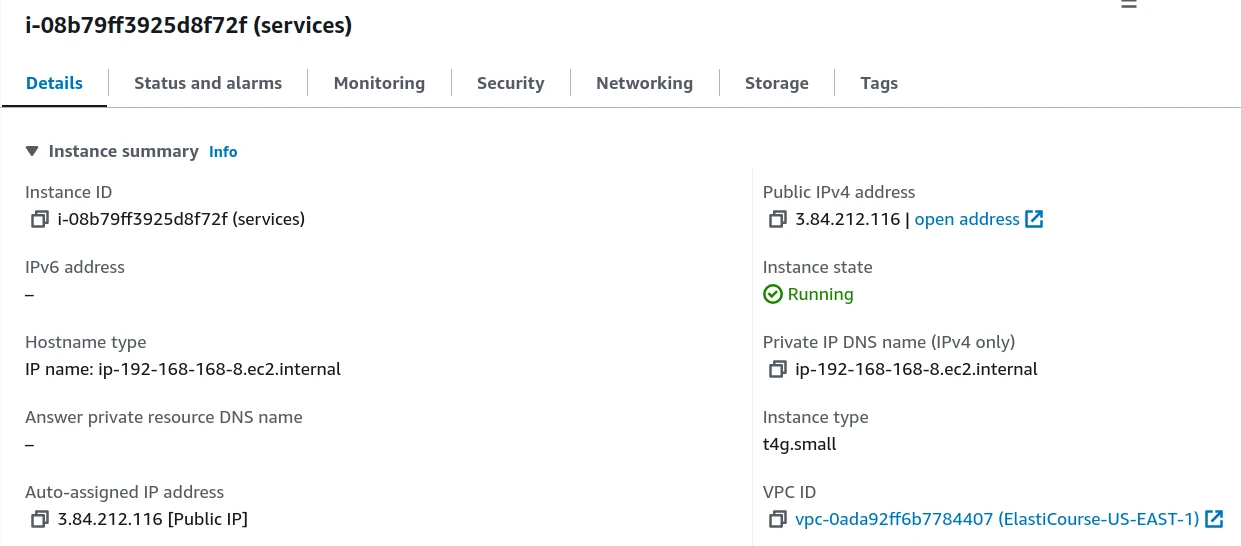 new EC2 instance details