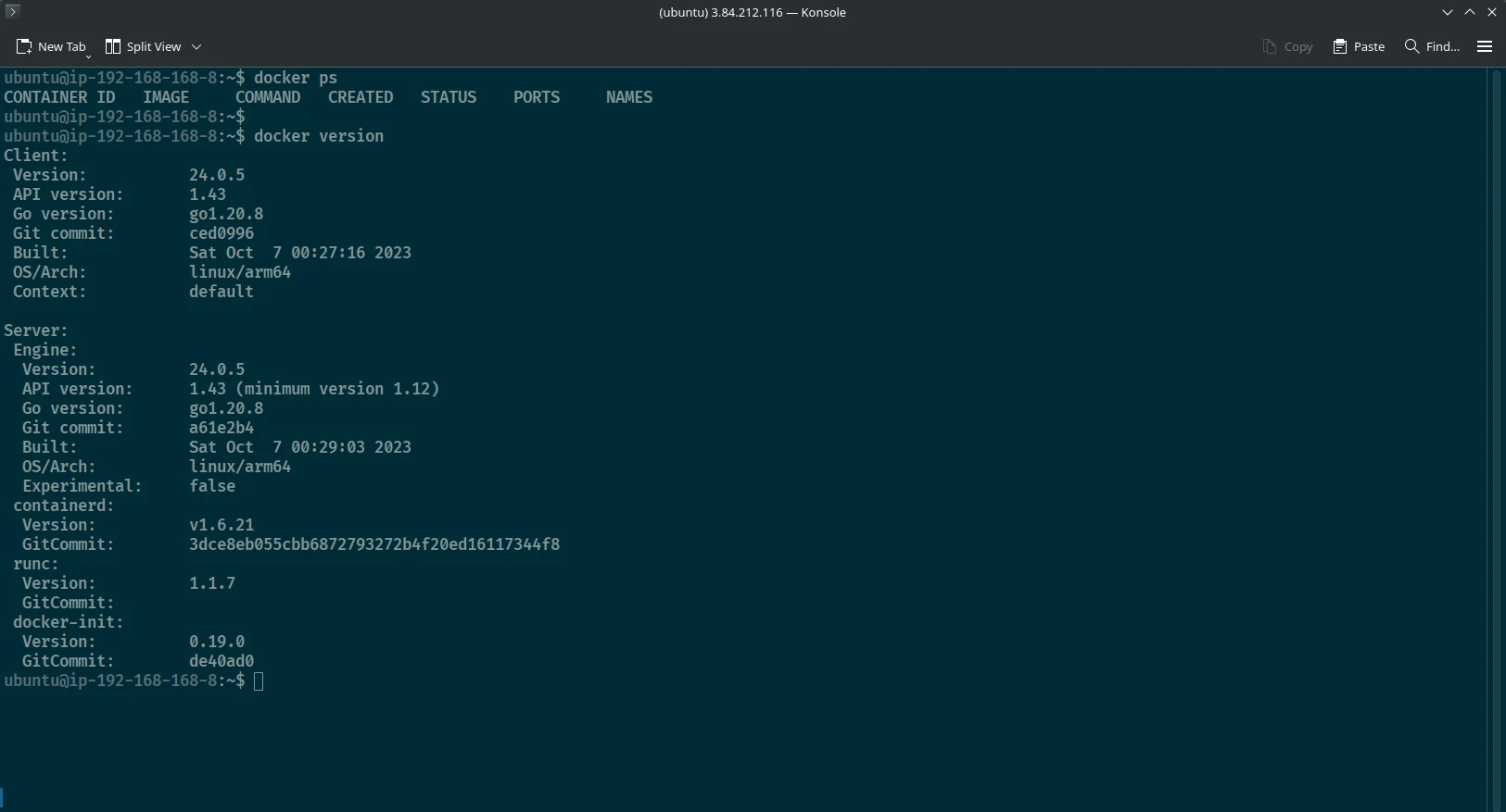 EC2 Docker running