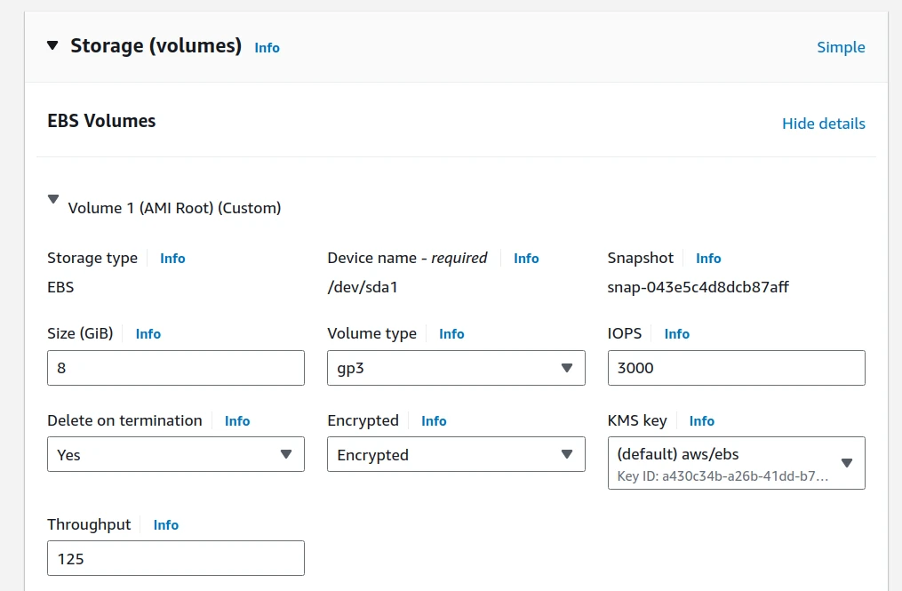 Storage Volumes and encryption